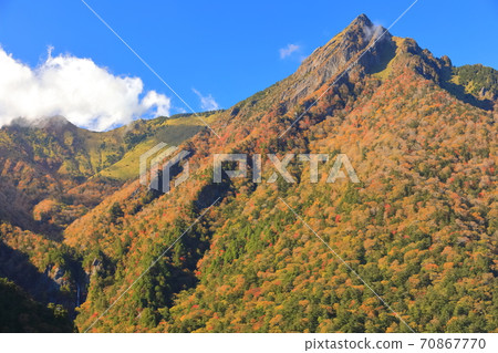 [愛媛縣]石zu山的秋葉在晴朗的天氣下 70867770