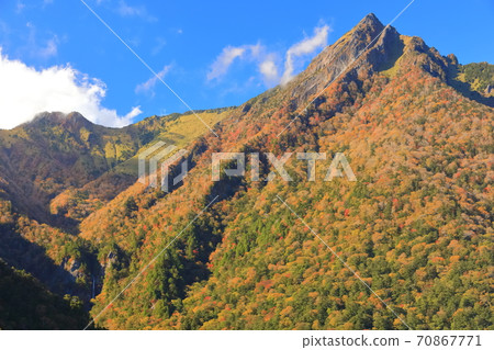 [愛媛縣]石zu山的秋葉在晴朗的天氣下 70867771