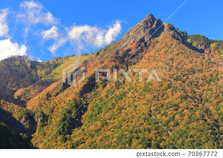 [愛媛縣]石zu山的秋葉在晴朗的天氣下 70867772