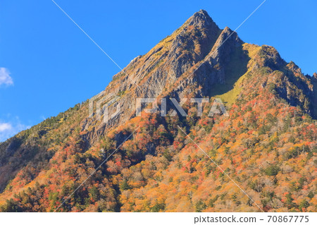 [Ehime Prefecture] Autumn leaves of Mt. Ishizuchi under fine weather 70867775
