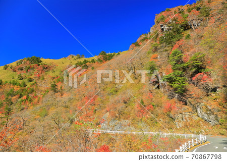 不明飛行物在晴朗的天氣下的紅葉線 70867798