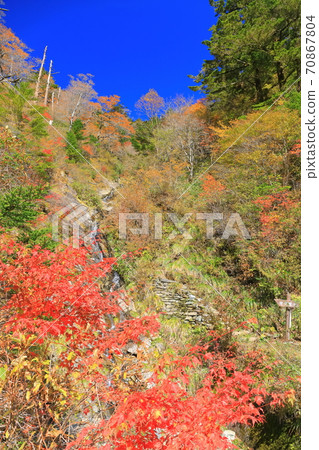 不明飛行物在晴朗的天氣下飛碟線上的秋葉 不明飛行物在晴朗的天氣下飛碟線上的秋葉 70867804