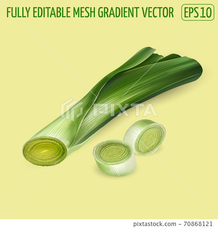 Illustration of fresh green leek slices composition. Illustration of fresh green leek slices composition. 70868121