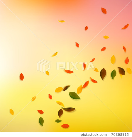 Falling autumn leaves. Red, yellow, green, brown c Falling autumn leaves. Red, yellow, green, brown c 70868515