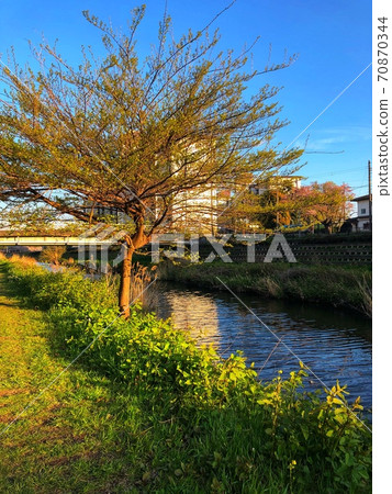 秋天清澈的藍天和樹木和城市景觀,從河邊看 秋天清澈的藍天和樹木和城市景觀,從河邊看 70870344