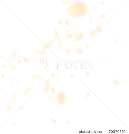Yellow orange flower petals falling down. Unusual Yellow orange flower petals falling down. Unusual 70870861