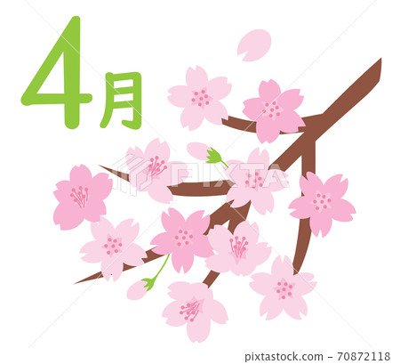 日曆4月櫻花圖圖標 插圖素材 圖庫