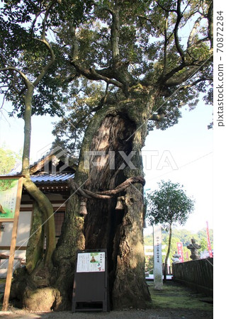 八幡宮 八幡宮 70872284