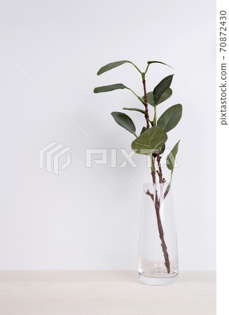 Mini plant succulent on wooden white desk, little plant and leaf in potted on table. 70872430