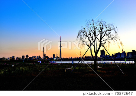 Special lighting seen from Horikirimizube Park Evening view of Tokyo Sky Tree 70872647