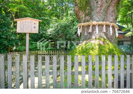 名古屋市Atsuta Jingu Osuni 名古屋市Atsuta Jingu Osuni 70872686