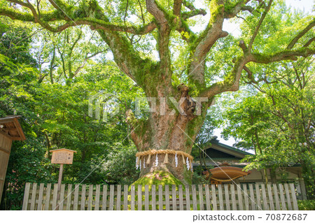 名古屋市Atsuta Jingu Osuni 名古屋市Atsuta Jingu Osuni 70872687