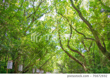 名古屋市熱田神社東口 70872692