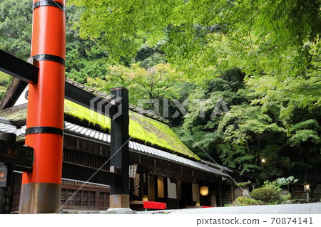 Sagano / Toriimoto Hiranoya 70874141