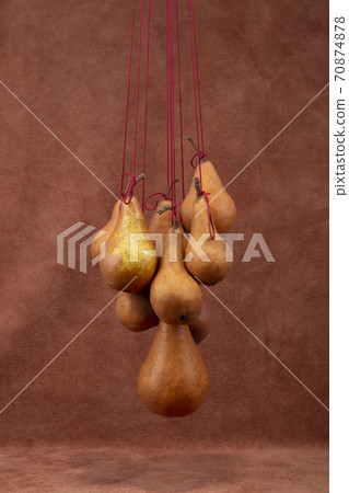 Ripe pears on a rope on a brown background Ripe pears on a rope on a brown background 70874878