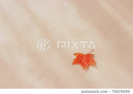 佐藤楓葉 70876099