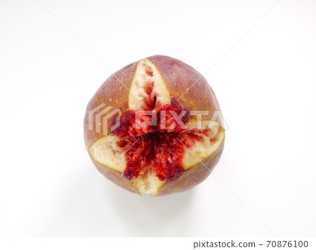 市地 市地 70876100