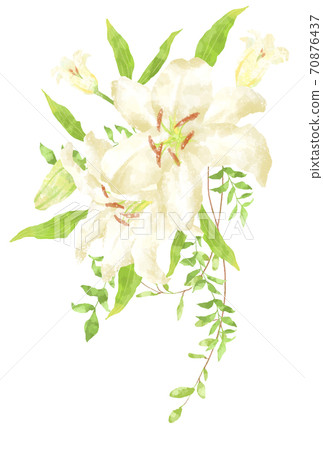 Illustration of Casablanca with a gentle touch 70876437