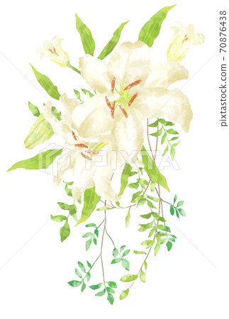 Illustration of Casablanca with a gentle touch Illustration of Casablanca with a gentle touch 70876438