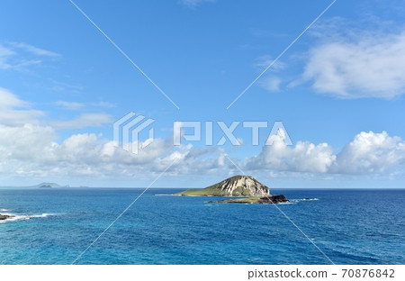 Holidays in Hawaii 70876842