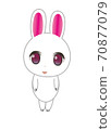 一隻可愛的白兔子的插圖 70877079