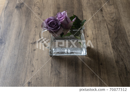 Purple rose in a vase Purple rose in a vase 70877312