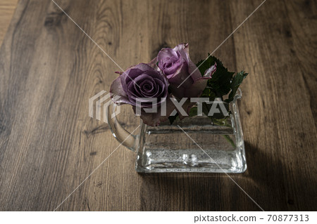 花瓶裡的紫玫瑰 花瓶裡的紫玫瑰 70877313