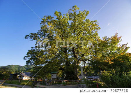 Nobuyoshi in the Noma 70877738