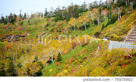 Autumn Aspite line drive with a superb view Autumn Aspite line drive with a superb view 70878802