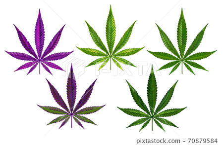 Cannabis realistic set 70879584