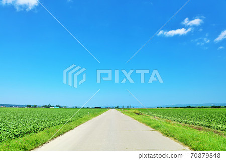 Hokkaido Blue Road Hokkaido Blue Road 70879848