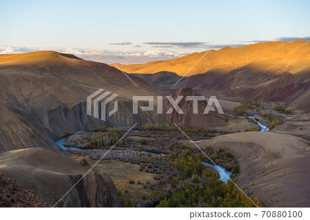 Altai Landscape in Autumn. Russia. Yellow Larches, Snow-Capped Mountains and River Altai Landscape in Autumn. Russia. Yellow Larches, Snow-Capped Mountains and River 70880100