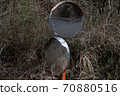 Withered vegetation and curved mirror 70880516