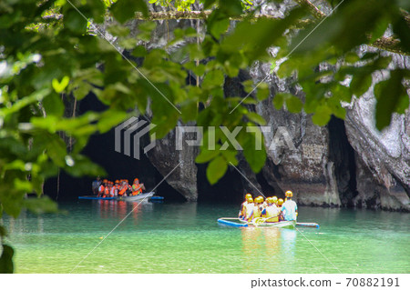 water, nature, tree 70882191