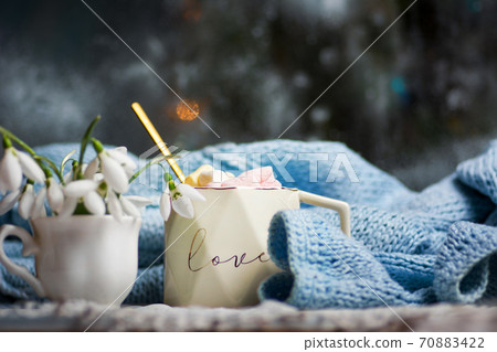 Hot chocolate with marshmallows in a cup and snowdrop flowers Hot chocolate with marshmallows in a cup and snowdrop flowers 70883422