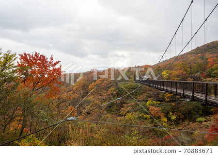 Azalea suspension bridge of autumn leaves 70883671