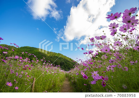  宇宙領域 70883958