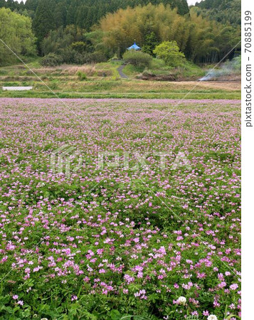 熊本的田園風光 70885199
