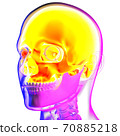 3d rendering illustraion of upper skull 70885218