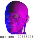 3d rendering illustraion of upper skull 70885223
