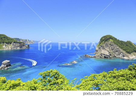 北海道積丹町的低矮藍色金色披風 北海道積丹町的低矮藍色金色披風 70885229