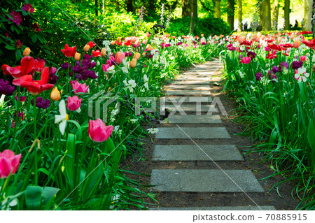 Formal spring garden 70885915