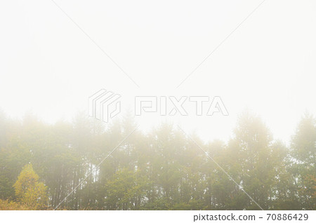 Fog plateau Omine plateau Fog plateau Omine plateau 70886429