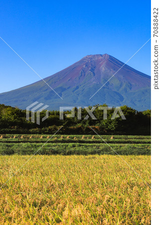 稻荷和富士山,富士吉田市的郊野公園 稻荷和富士山,富士吉田市的郊野公園 70888422