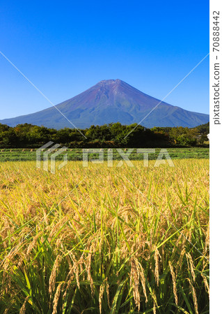 稻荷和富士山,富士吉田市的郊野公園 稻荷和富士山,富士吉田市的郊野公園 70888442