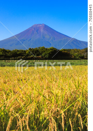 稻荷和富士山，富士吉田市的郊野公園 70888445