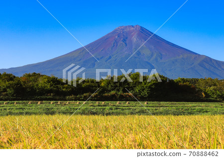 稻荷和富士山,富士吉田市的郊野公園 稻荷和富士山,富士吉田市的郊野公園 70888462