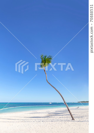 Travel destinations Punta Cana, Dominican Republic Travel destinations Punta Cana, Dominican Republic 70888531