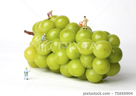 Shine Musket and Miniature Farmer 70888904