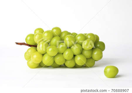 在白色背景照耀步槍 70888907